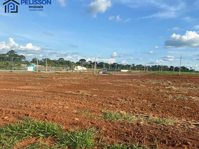 Terreno em condomínio para Venda em Alta Floresta - 5