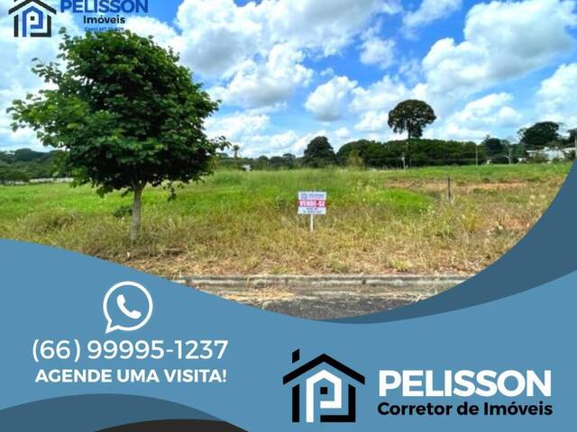 #40 - Villagio para Venda em Alta Floresta - MT