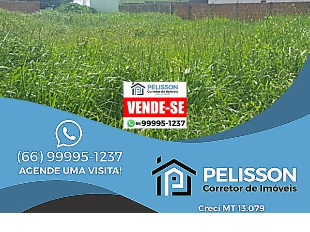 #49 - Terreno para Venda em Sinop - MT - 1