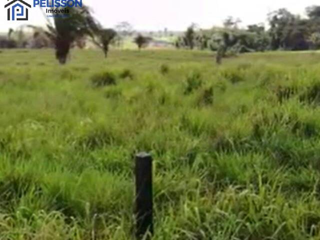 Fazenda para Venda em Cruzeiro do Sul - 5