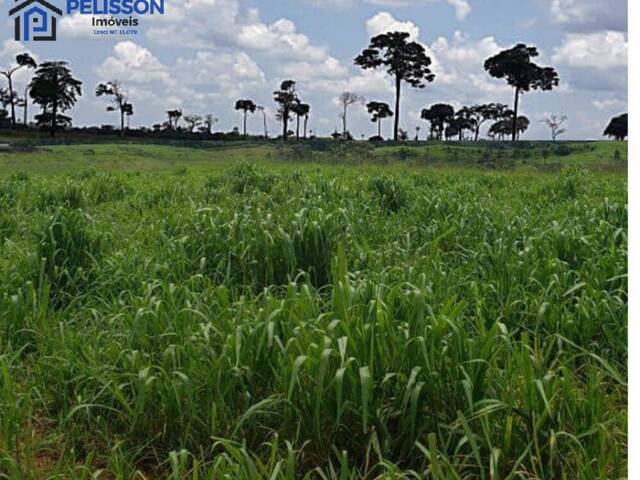 #53 - Fazenda para Venda em Cruzeiro do Sul - AC - 2