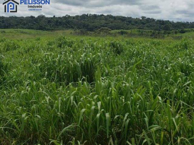 Fazenda para Venda em Cruzeiro do Sul - 4