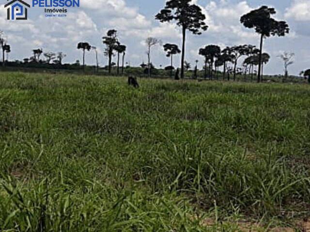 #53 - Fazenda para Venda em Cruzeiro do Sul - AC - 3