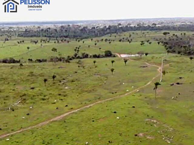 Fazenda para Venda em Plácido de Castro - 4