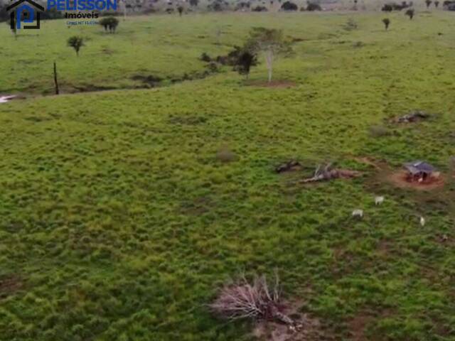 Fazenda para Venda em Plácido de Castro - 5