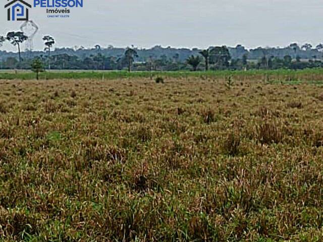 Sítio para Venda em Rio Branco - 4