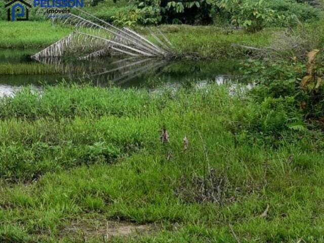 Sítio para Venda em Rio Branco - 5