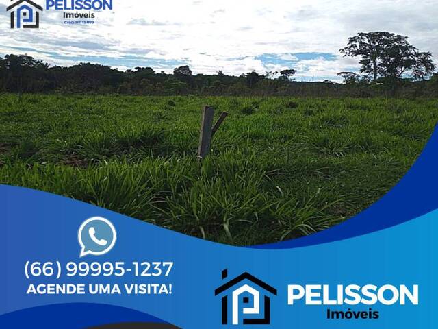 #58 - Fazenda para Venda em Nova Monte Verde - MT