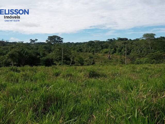 #58 - Fazenda para Venda em Nova Monte Verde - MT