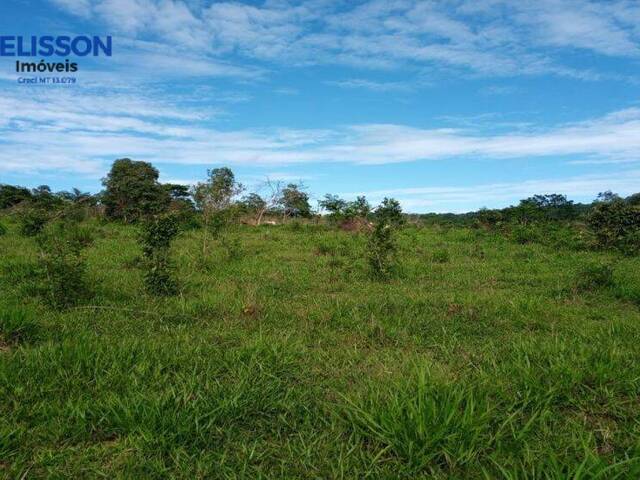 #58 - Fazenda para Venda em Nova Monte Verde - MT