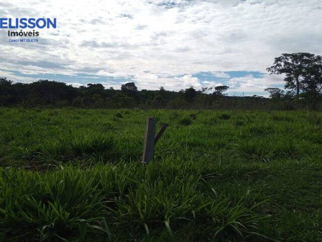 Fazenda para Venda em Nova Monte Verde - 4