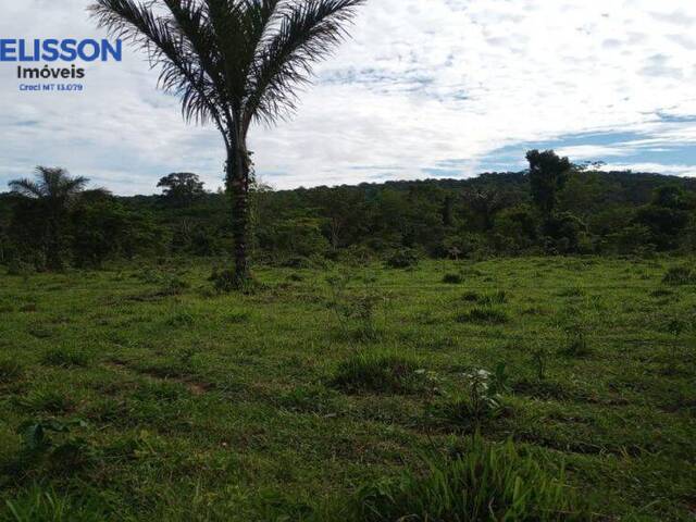 Fazenda para Venda em Nova Monte Verde - 5