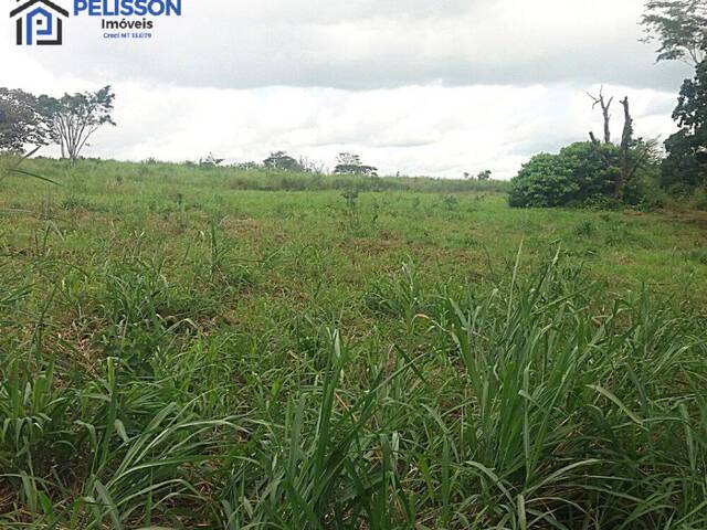 #59 - Fazenda para Venda em Rio Branco - AC - 2