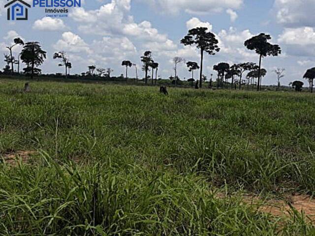 Fazenda para Venda em Rio Branco - 4