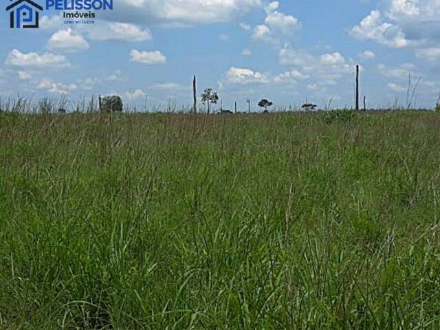 Fazenda para Venda em Rio Branco - 5