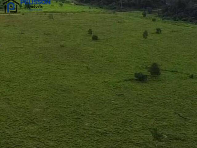 #60 - Fazenda para Venda em Matupá - MT