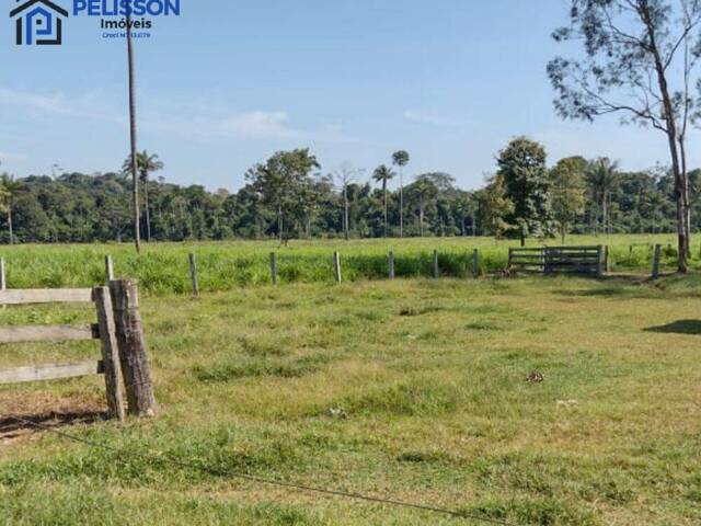 #60 - Fazenda para Venda em Matupá - MT