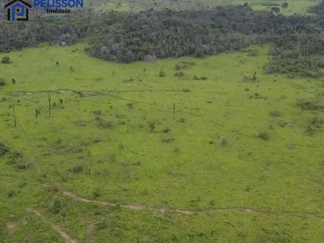 Fazenda para Venda em Matupá - 4