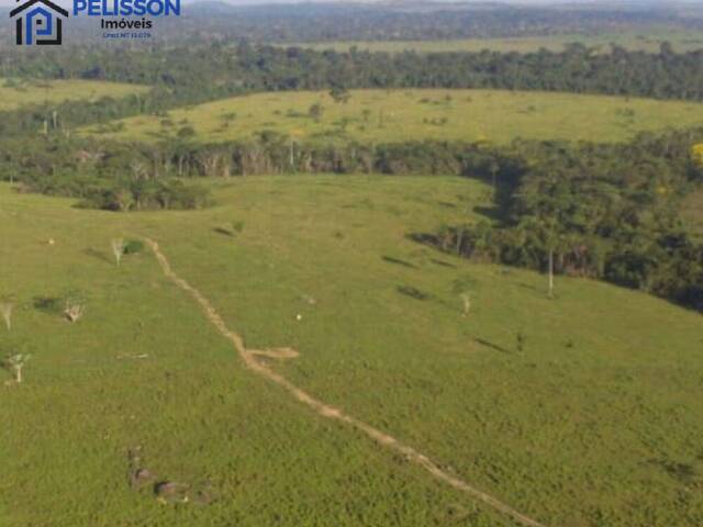 Fazenda para Venda em Matupá - 5