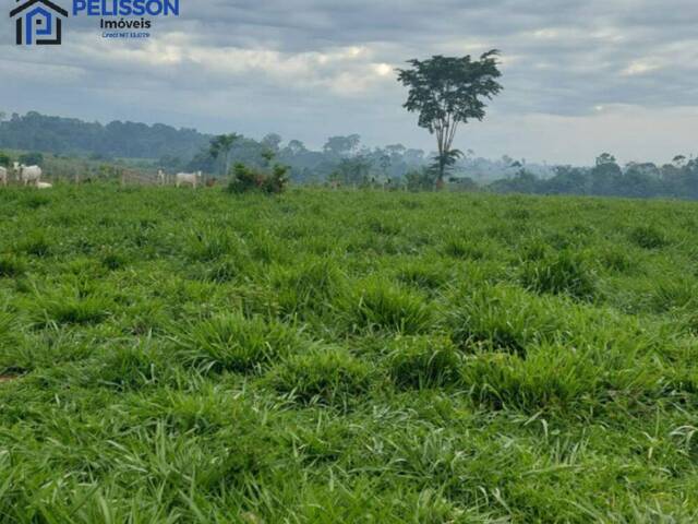 #61 - Fazenda para Venda em Nova Bandeirantes - MT - 3