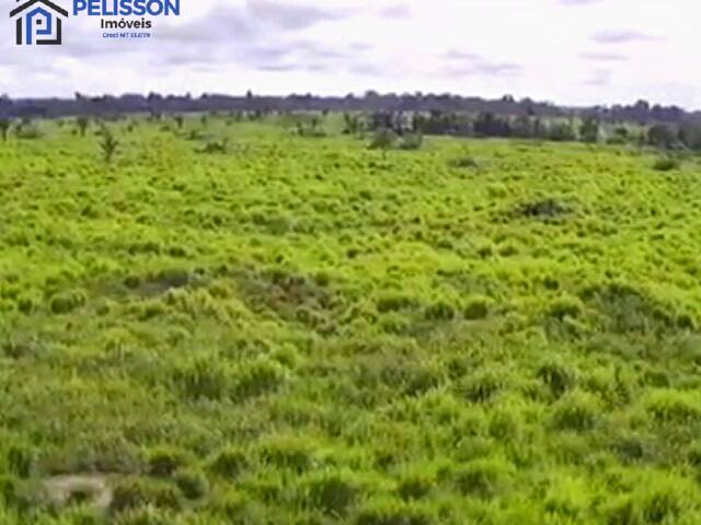 Fazenda para Venda em Nova Bandeirantes - 4