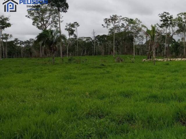 #61 - Fazenda para Venda em Nova Bandeirantes - MT - 2