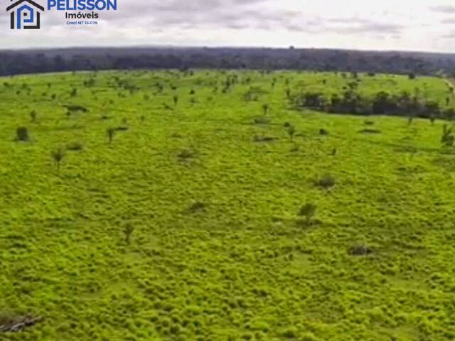 Fazenda para Venda em Nova Bandeirantes - 5