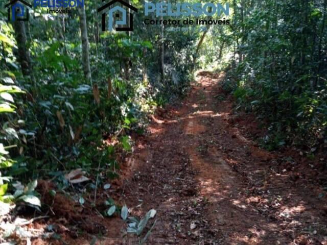 Fazenda para Venda em Guarantã do Norte - 5