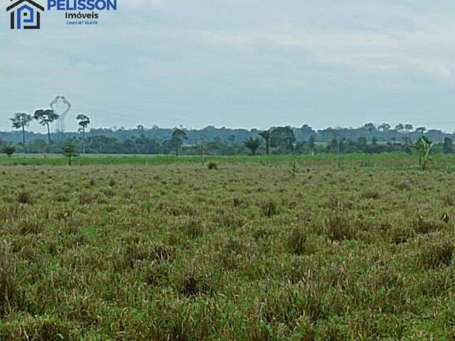 #66 - Fazenda para Venda em Apiacás - MT - 3