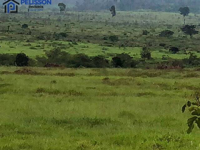 #66 - Fazenda para Venda em Apiacás - MT - 2