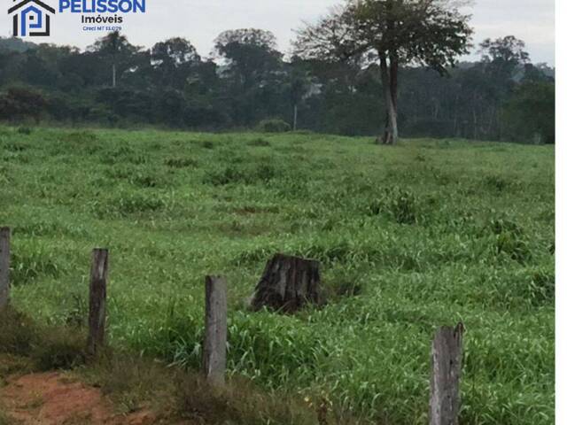 Fazenda para Venda em Apiacás - 4