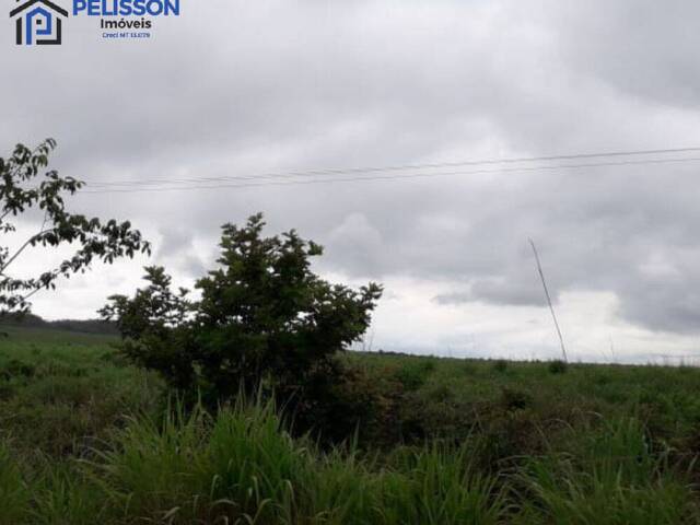 Fazenda para Venda em Apiacás - 5