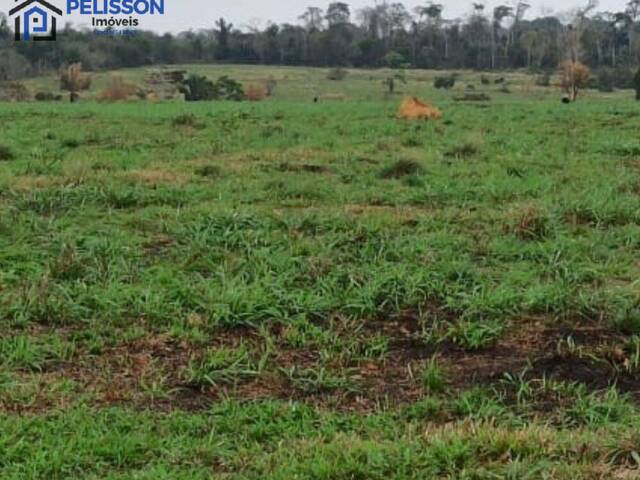 #67 - Fazenda para Venda em Nova Bandeirantes - MT - 3