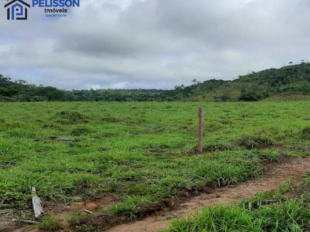 #67 - Fazenda para Venda em Nova Bandeirantes - MT - 2