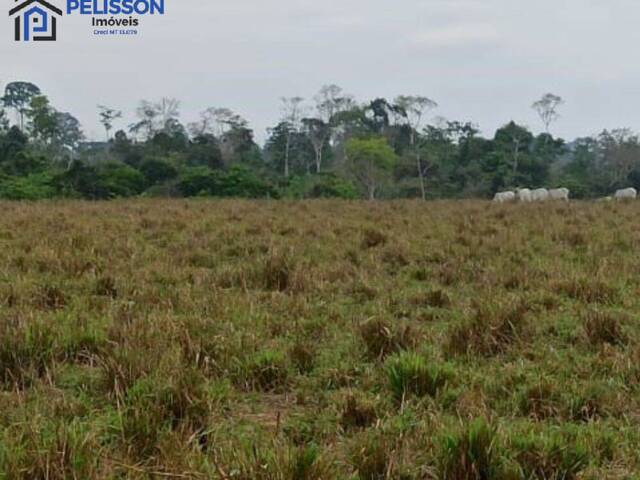 Fazenda para Venda em Nova Bandeirantes - 4