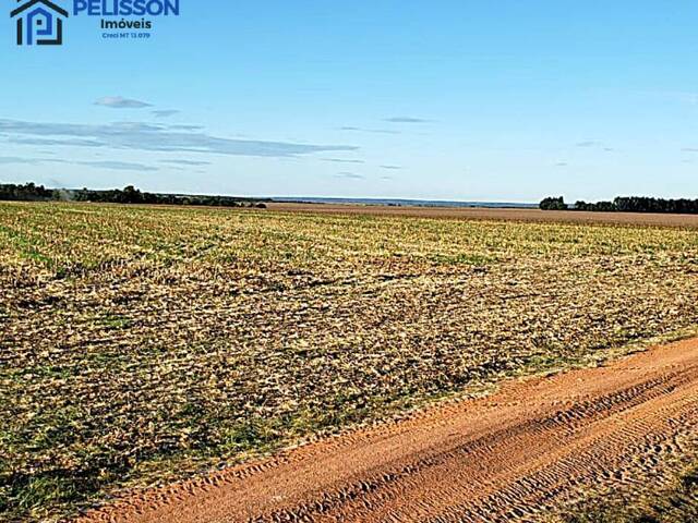 #70 - Fazenda para Venda em Balsas - MA - 2