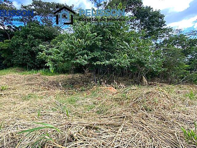 #71 - Terreno para Venda em Alta Floresta - MT - 3