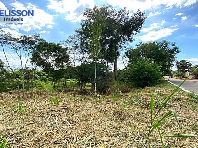 Terreno para Venda em Alta Floresta - 4