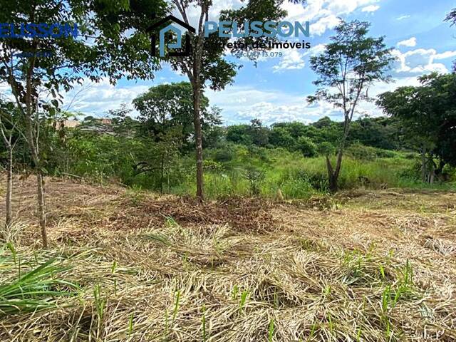 Terreno para Venda em Alta Floresta - 5