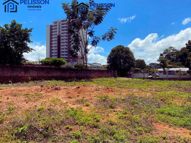 Terreno para Venda em Alta Floresta - 5