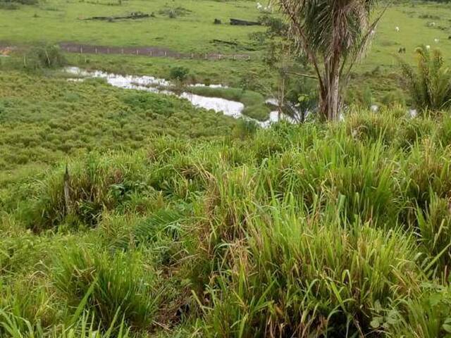 Fazenda para Venda em Novo Mundo - 4