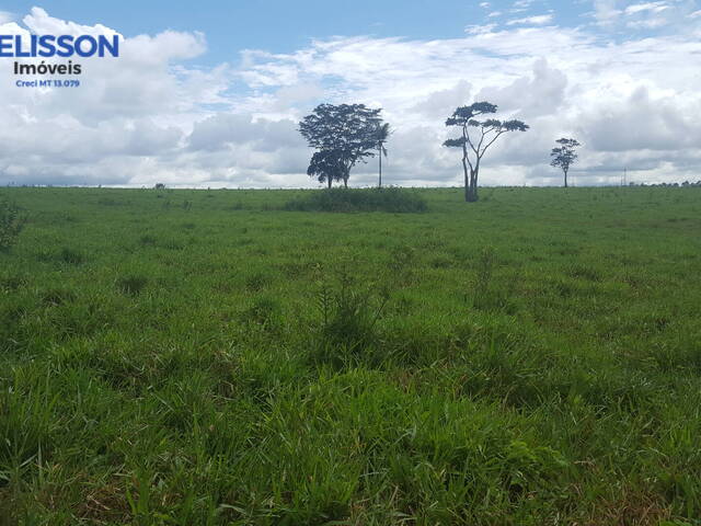 #88 - Fazenda para Venda em Porto Esperidião - MT - 3