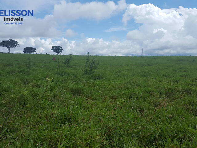 Fazenda para Venda em Porto Esperidião - 4