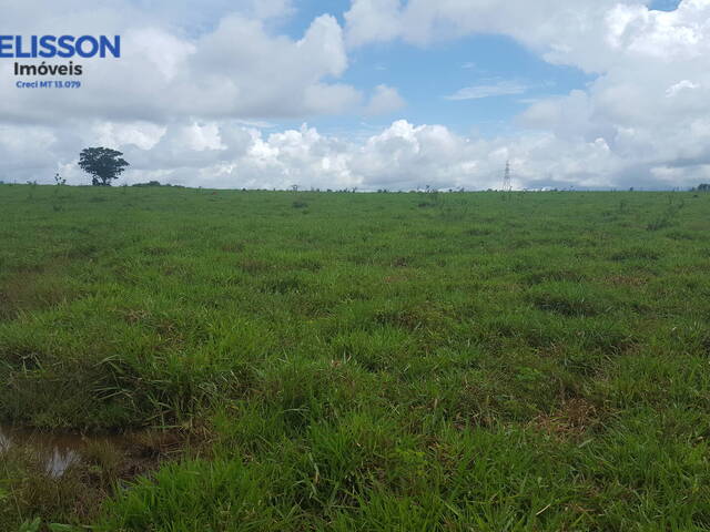 Fazenda para Venda em Porto Esperidião - 5