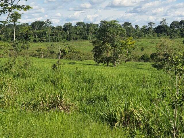 #101 - Fazenda para Venda em Apiacás - MT - 2