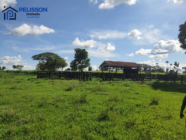 Fazenda para Venda em Apiacás - 4