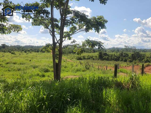 Fazenda para Venda em Apiacás - 5