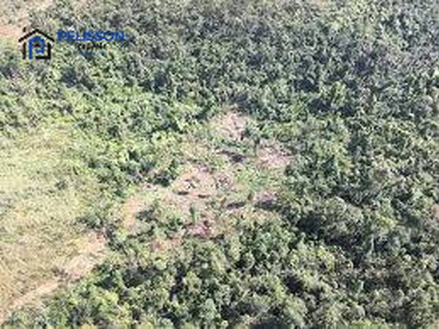 Fazenda para Venda em Apiacás - 5