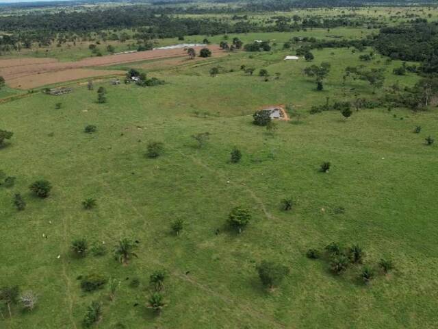 #106 - Fazenda para Venda em Porto Velho - RO - 2