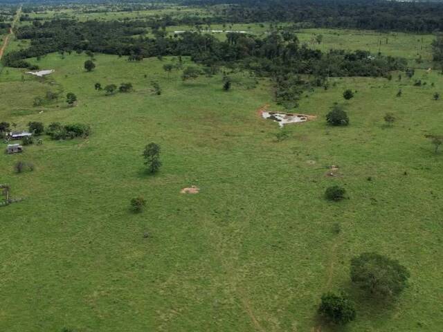 #106 - Fazenda para Venda em Porto Velho - RO - 3